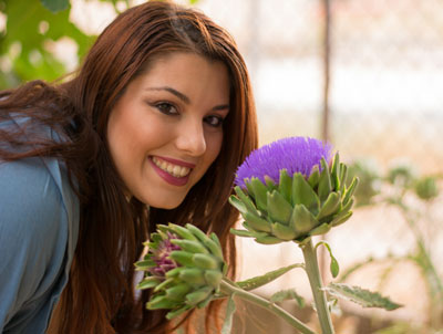 Artichoke