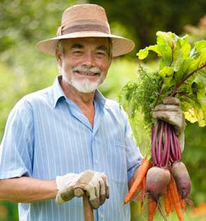 beetroot-gardener