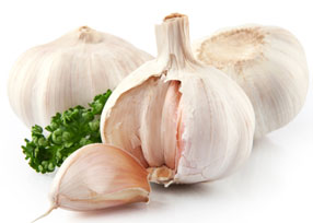 Garlic