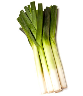Leek
