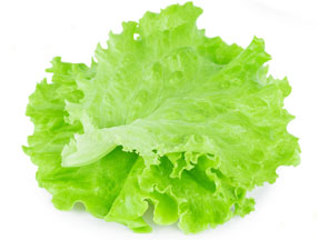 Lettuce