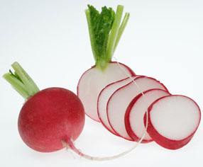 Radish