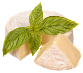 Brie Cheese
