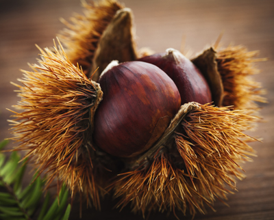 Chestnuts