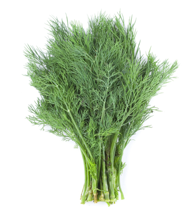 Dill