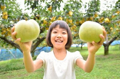 Kid holding up two pears