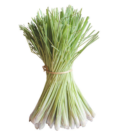 Lemon Grass
