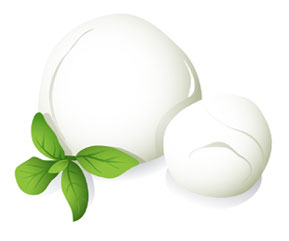 Mozzarella Cheese