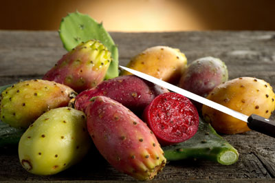 Prickly Pear