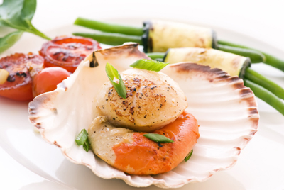 Scallops