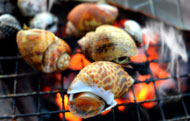 cooking.com.au