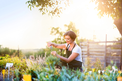 Beautiful woman in herb garden