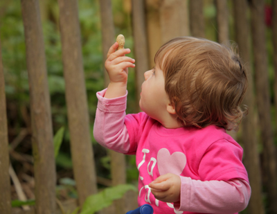 Young girl with holding up peanut in shell